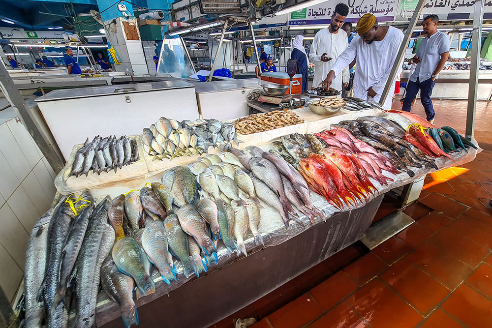 fish market Saudska arabija (Saudova arabija) 